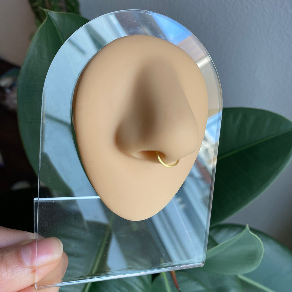 Septum Nose Ring