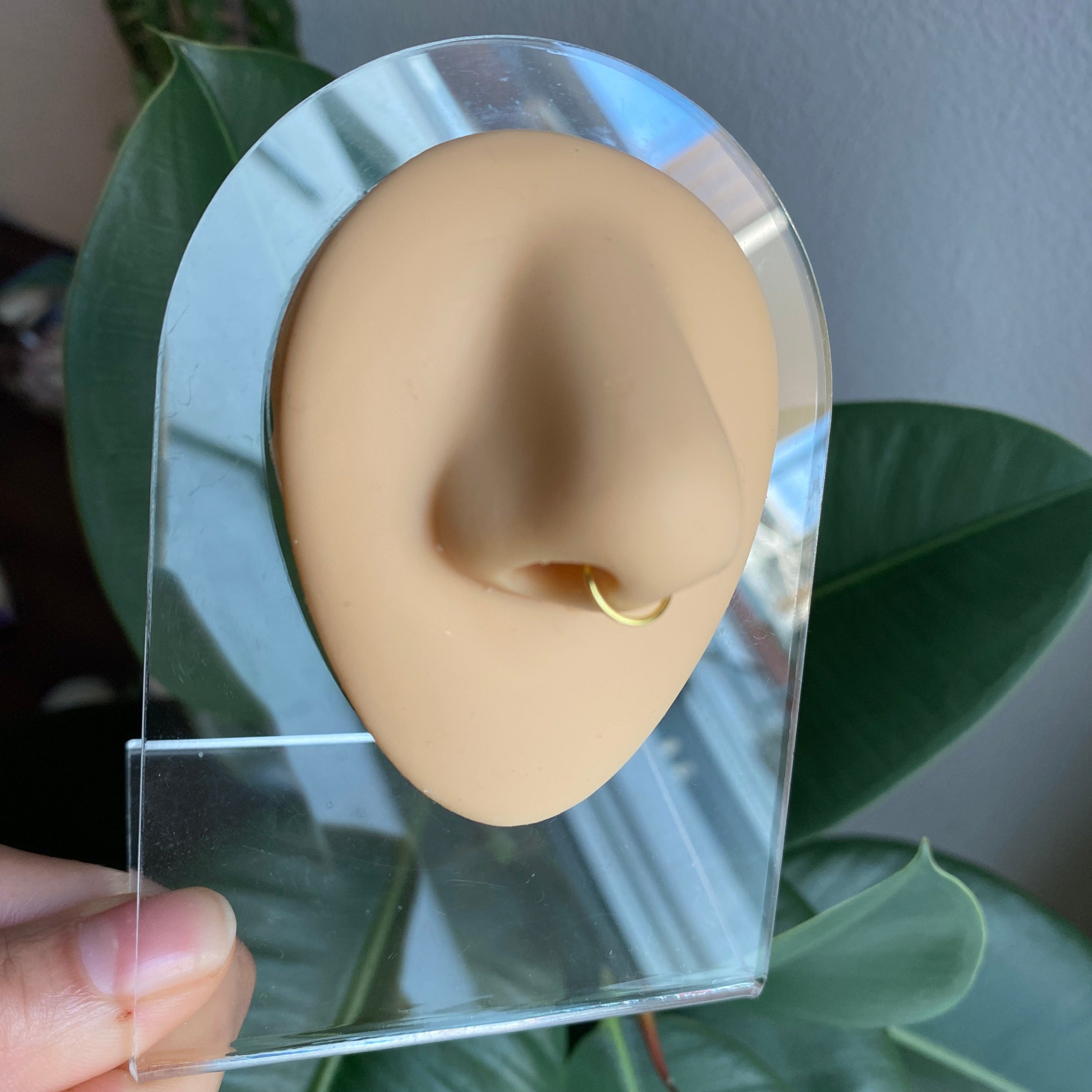 Septum Nose Ring