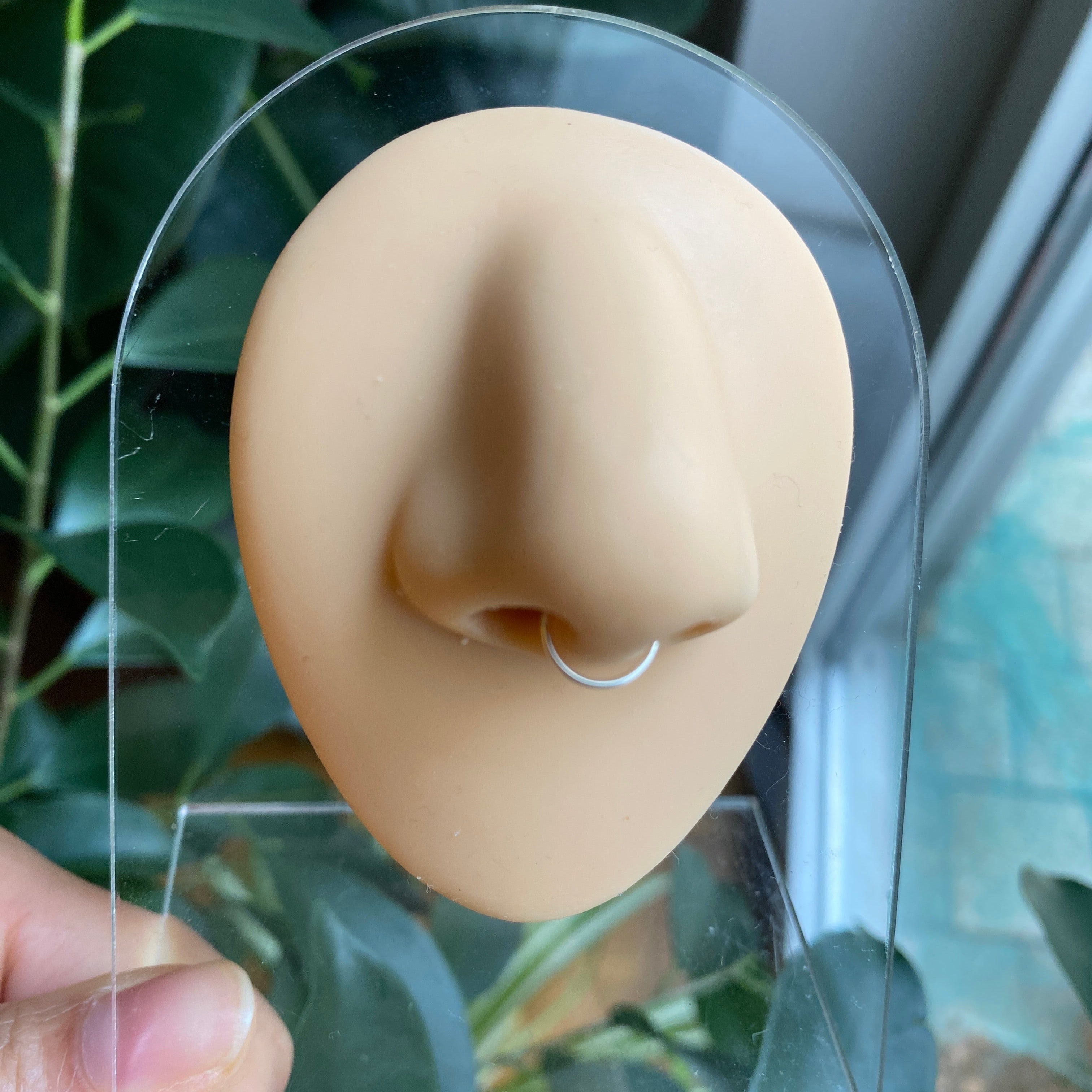 Septum Nose Ring