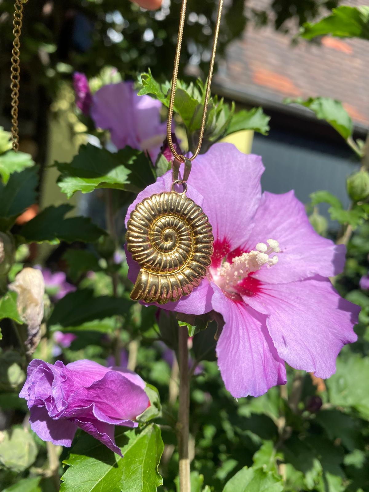 Fossil Amulet