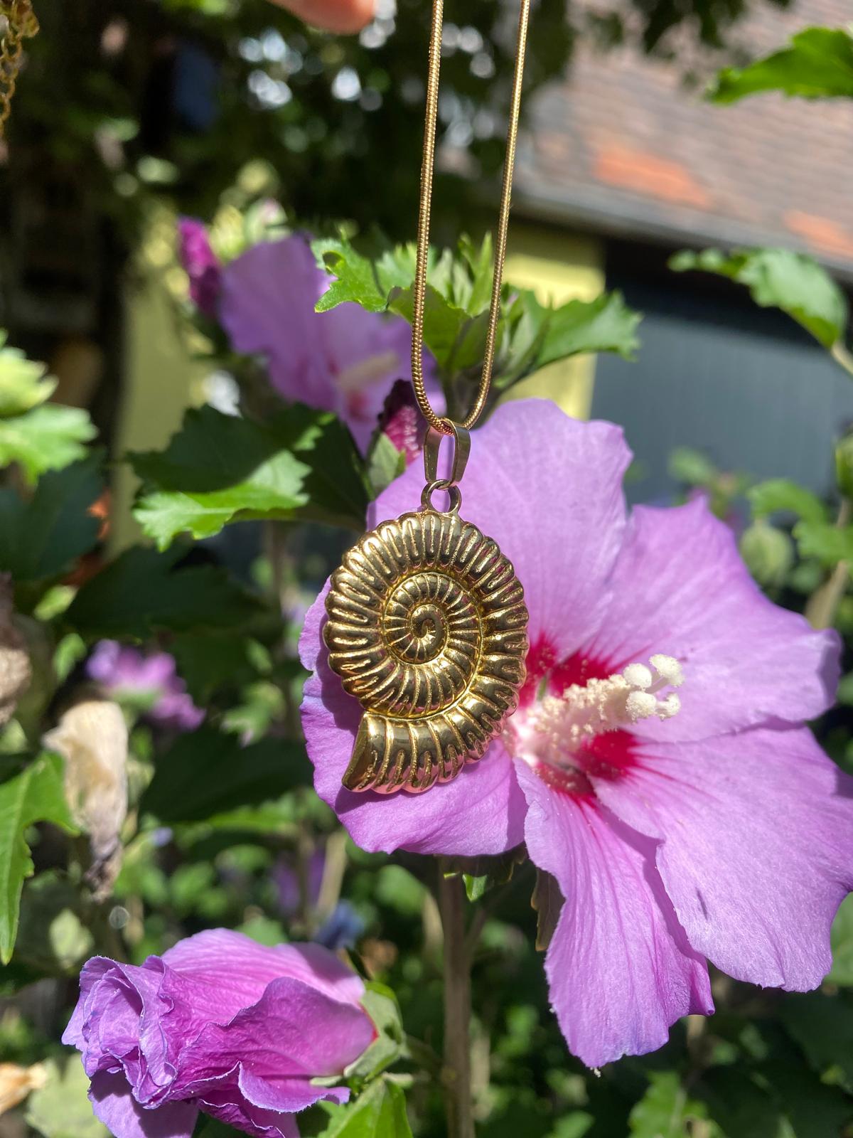 Fossil Amulet