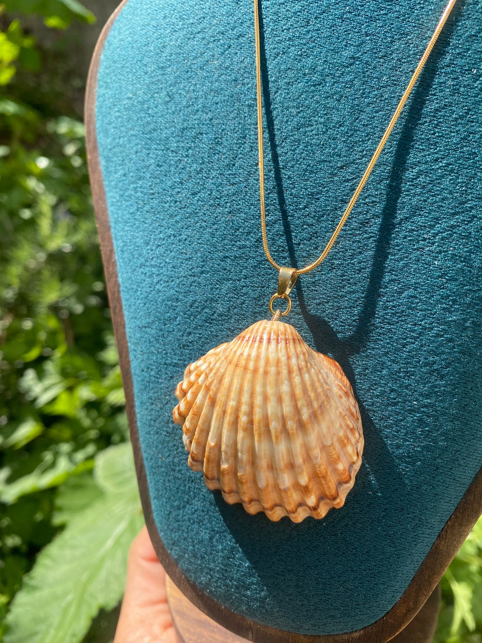 Shell necklace
