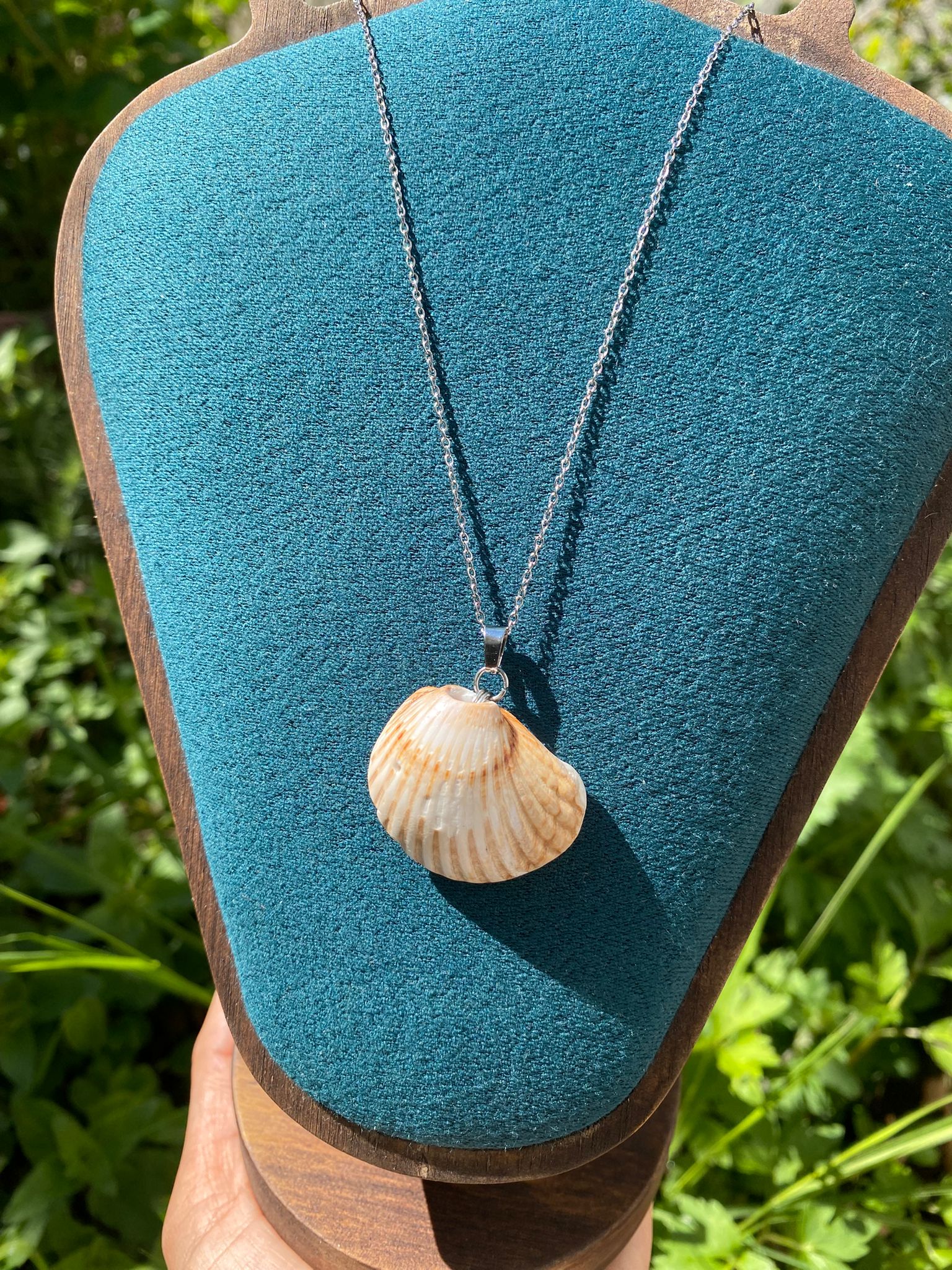 Seashell Necklace 4