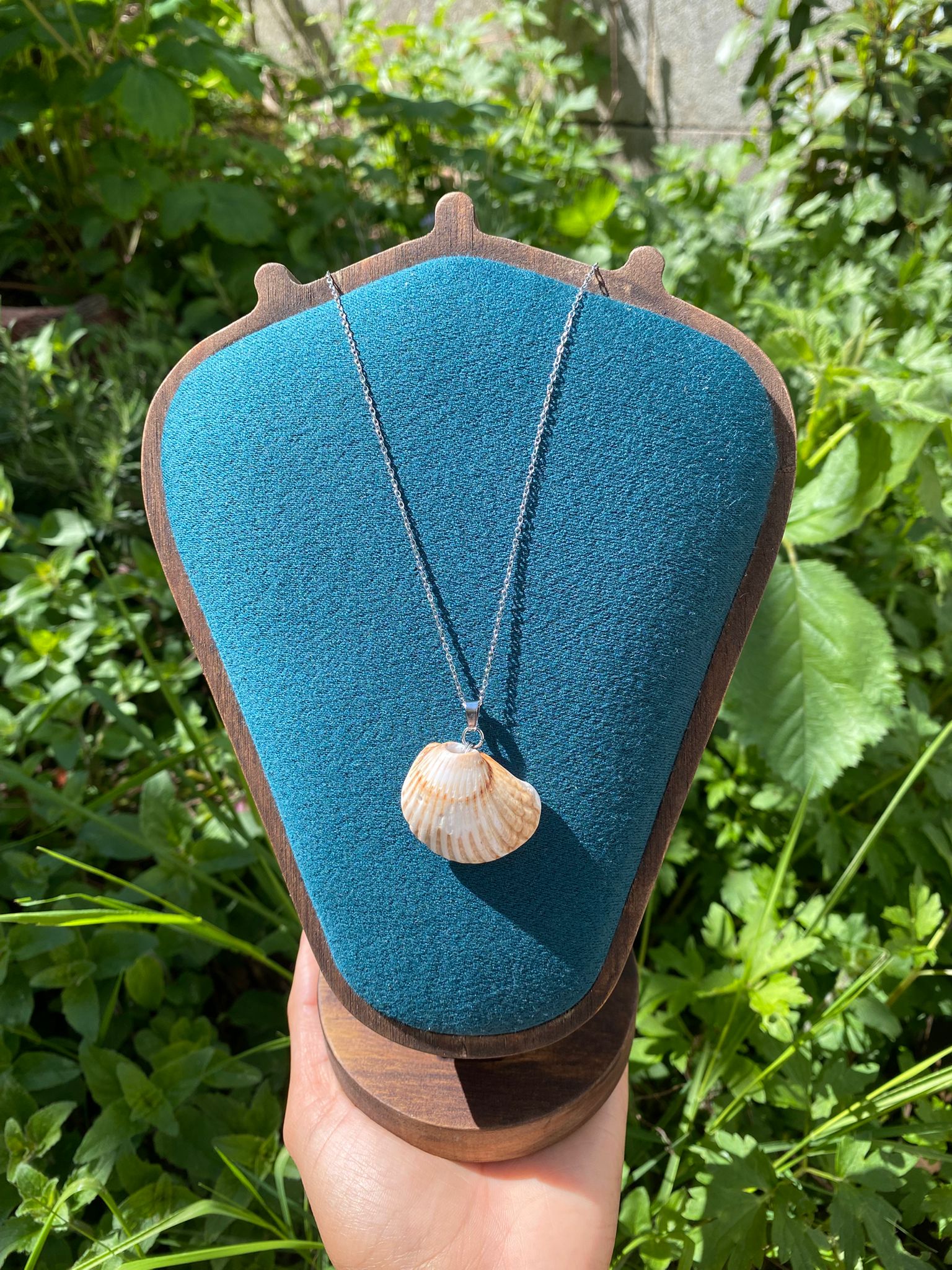 Seashell Necklace 4