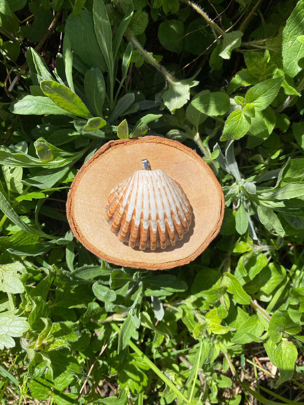 Shell Necklace 3