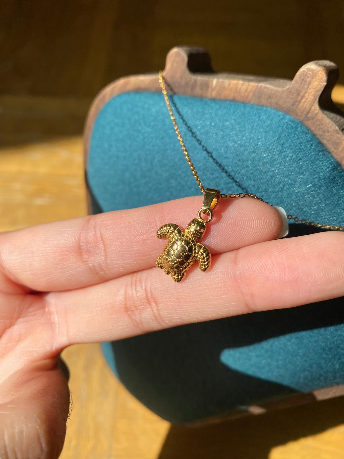 Turtle Amulet