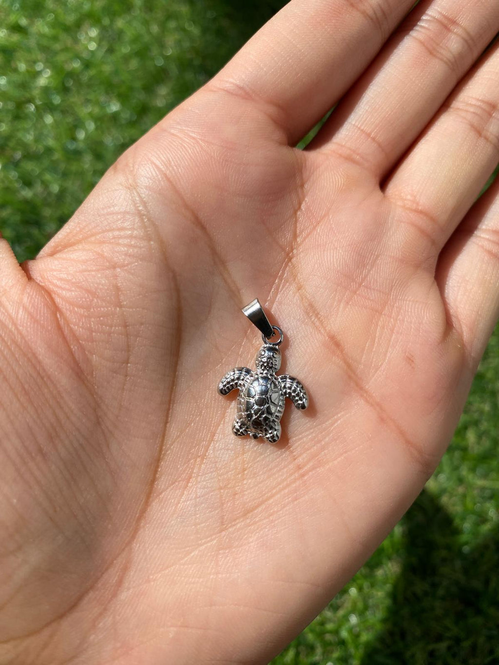 Turtle Amulet