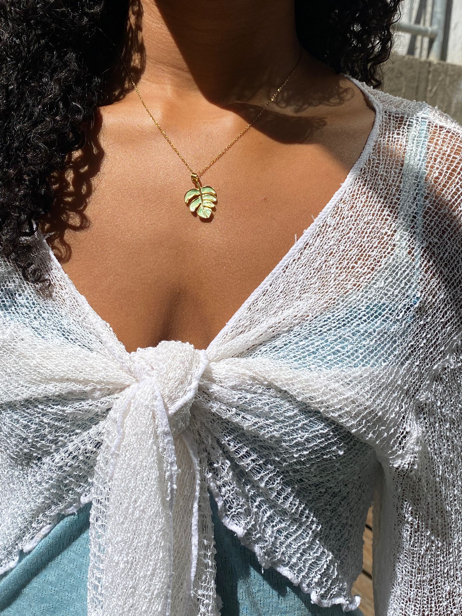 Monstera Amulet