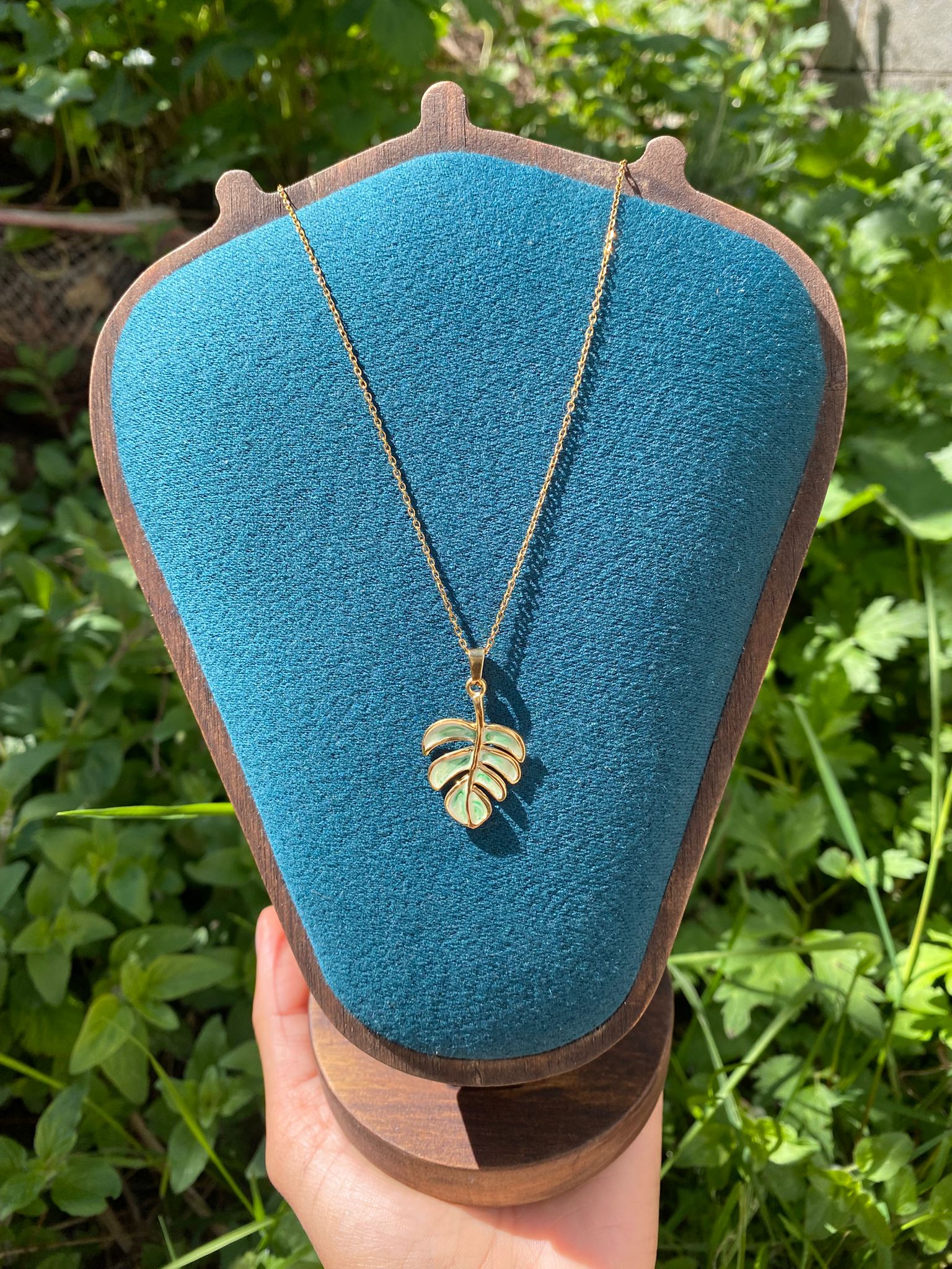Monstera Amulet