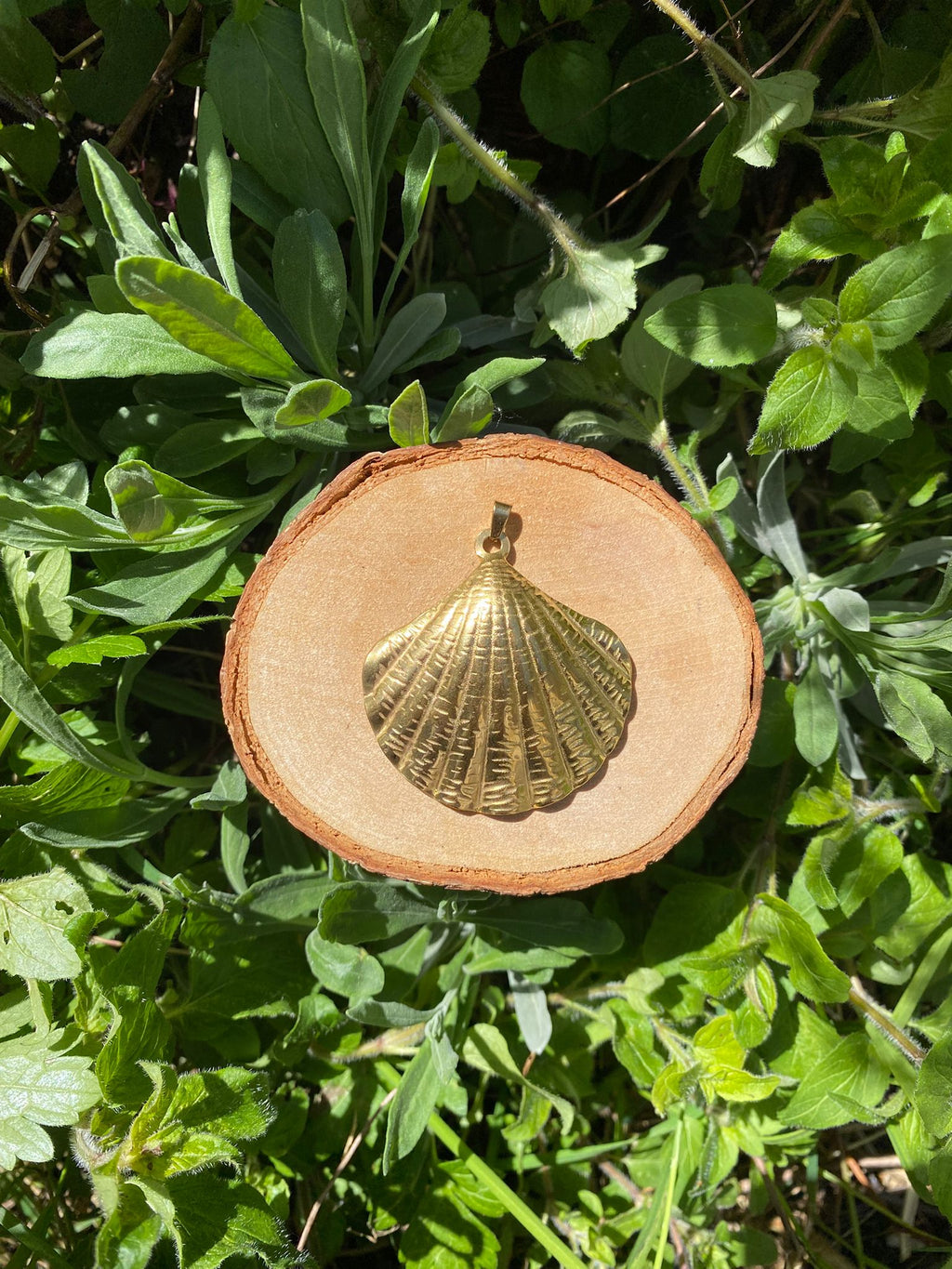 Shell Amulet