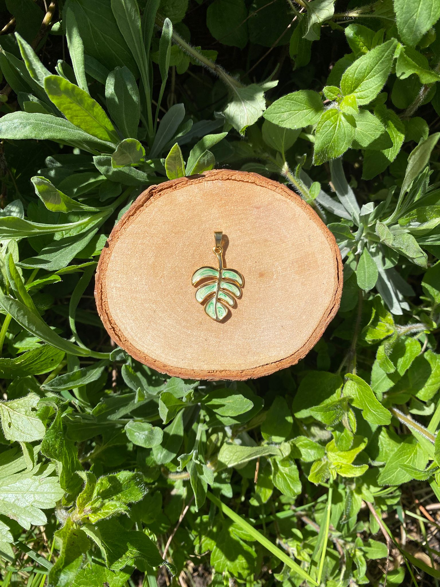 Monstera Amulet
