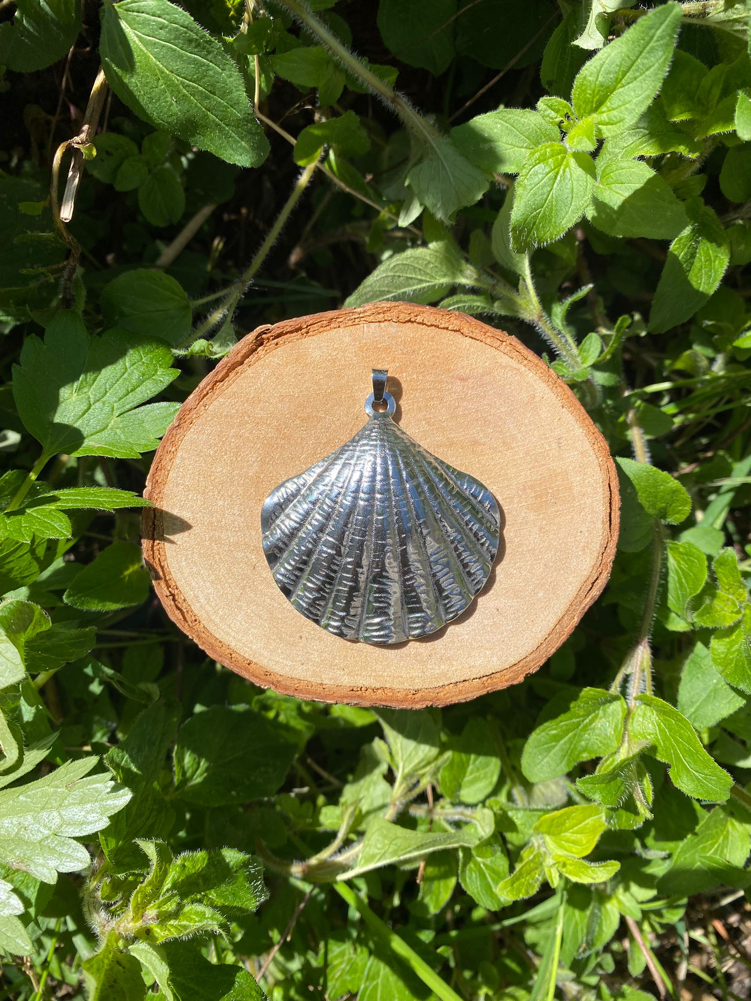 Shell Amulet