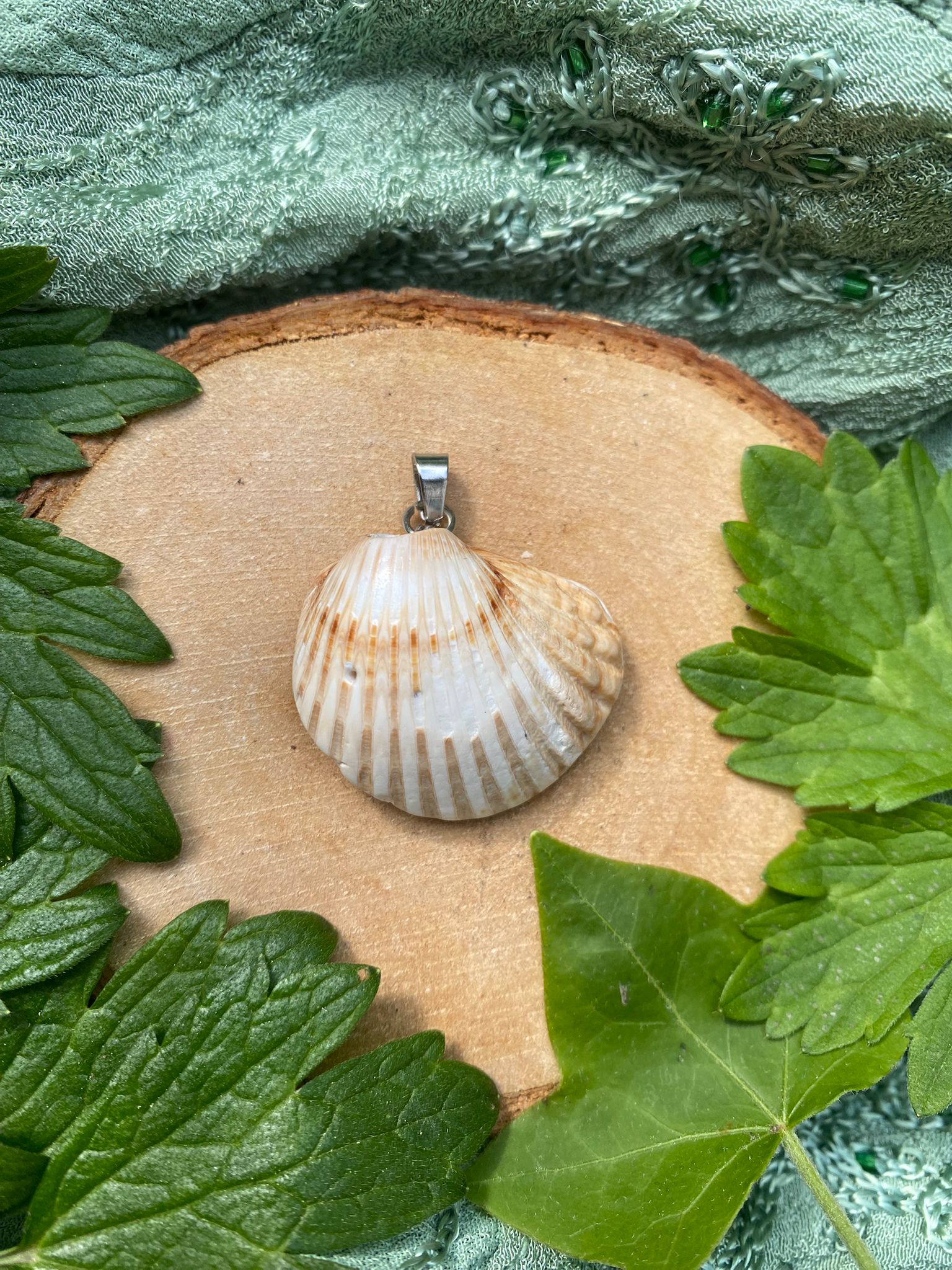 Seashell Necklace 4