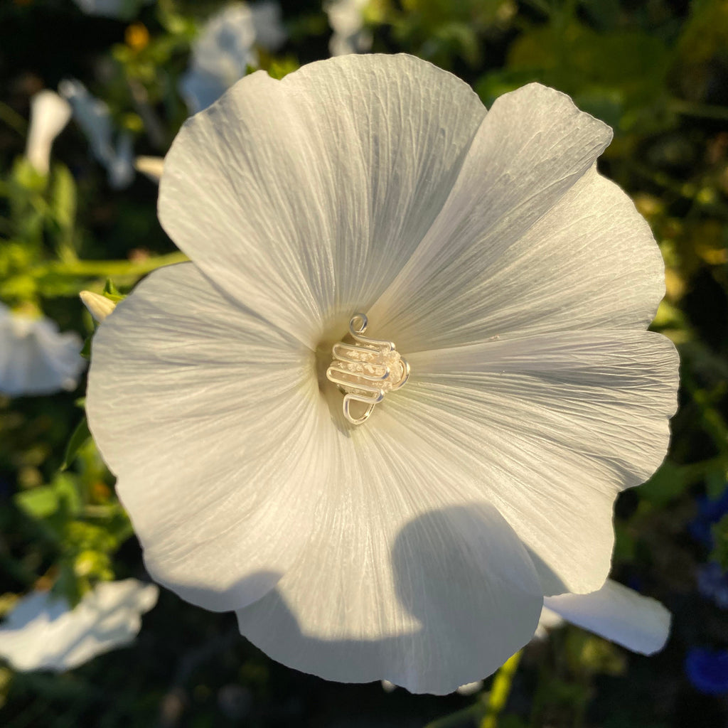 "Spiral no.5"