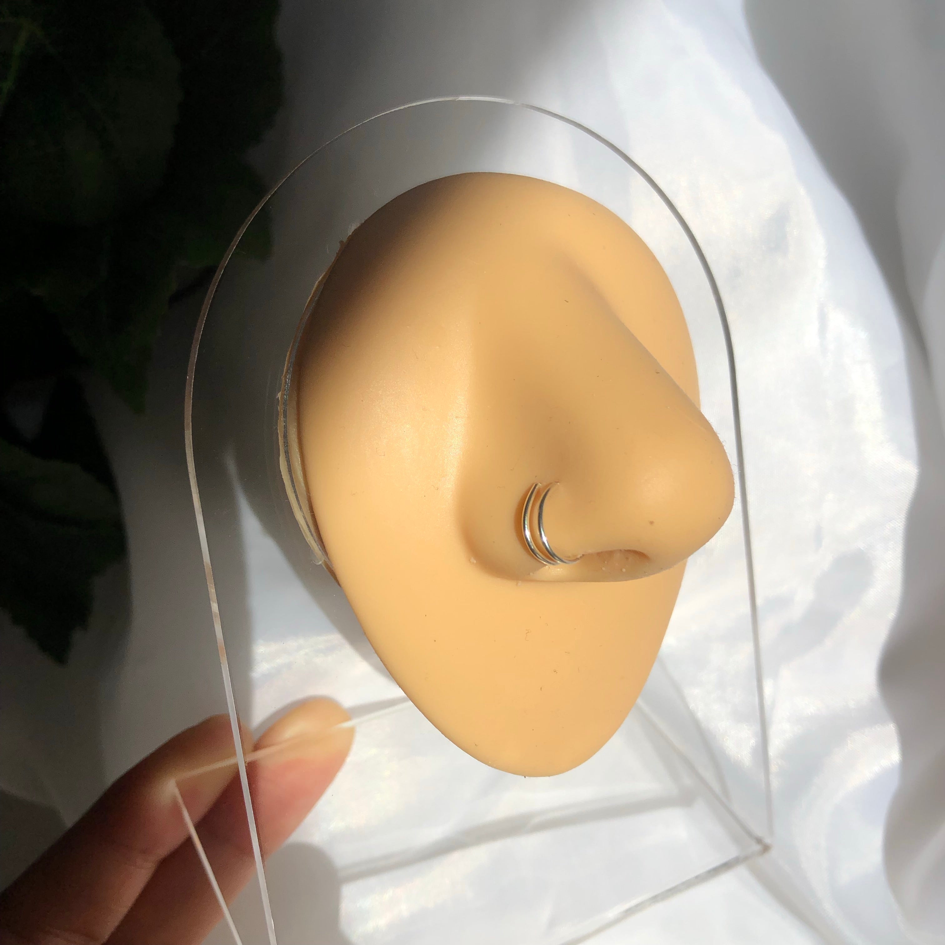 Double Nose Ring